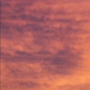 Meet your Posher, Jade